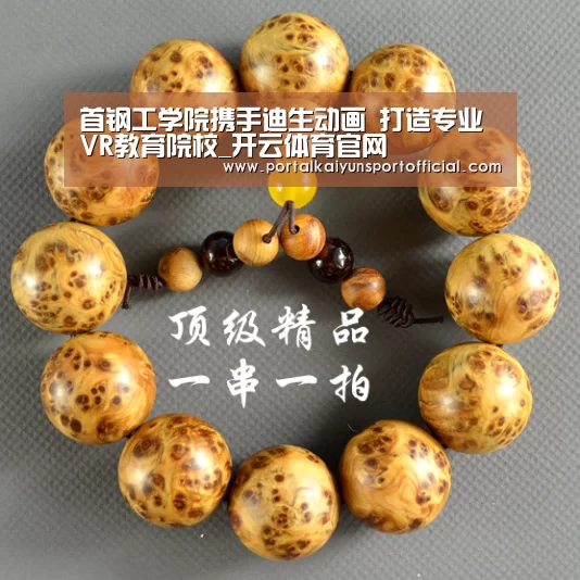 首钢工学院携手迪生动画 打造专业VR教育院校_开云体育官网(图2) 开云体育官网