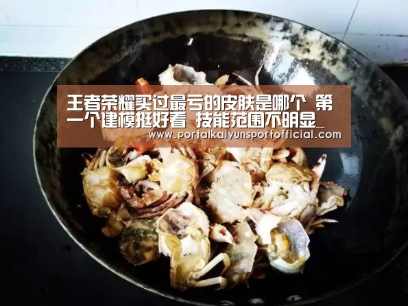 王者荣耀买过最亏的皮肤是哪个 第一个建模挺好看 技能范围不明显_开云体育官网(图2) 开云体育官网